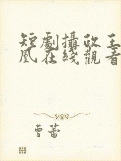 短剧摄政王的囚凰在线观看