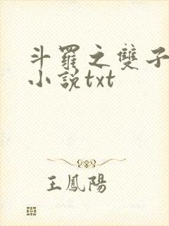 斗罗之双子斗罗小说txt