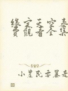 缘定天空泰剧免费观看全集