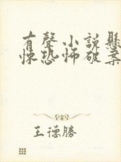 有声小说悬疑惊悚恐怖破案封面