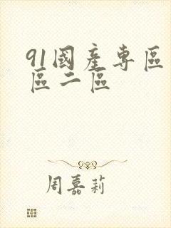 91国产专区一区二区