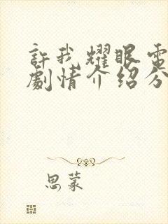 许我耀眼电视剧剧情介绍分集