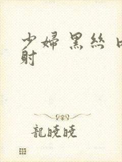 少妇 黑丝 内射