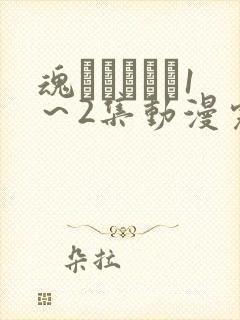 魂インサート1～2集动漫完整版