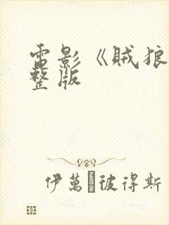 电影《贼狼》完整版