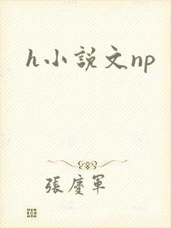 h小说文np