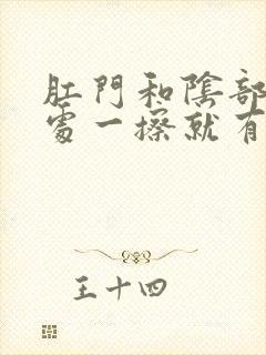 肛门和阴部连接处一擦就有血