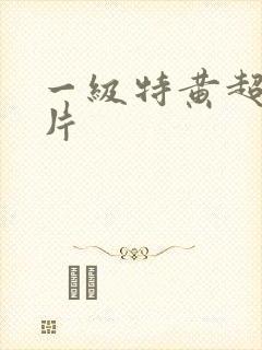 一级特黄超爽大片