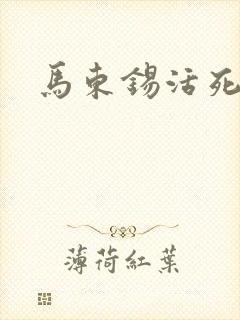 马东锡活死地