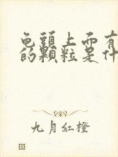 龟头上面有白色的颗粒是什么