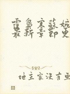 霍枭寒苏婉小说最新章节更新列表