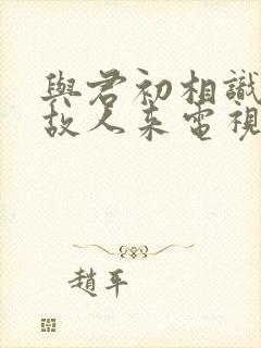 与君初相识恰似故人来电视剧封面