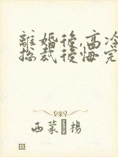 离婚后,高冷女总裁后悔完结篇