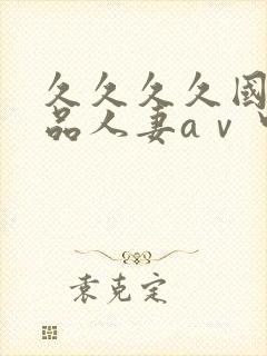 久久久久国产精品人妻aⅴ中出