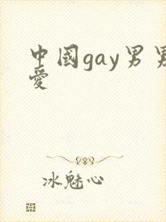 中国gay男男爱
