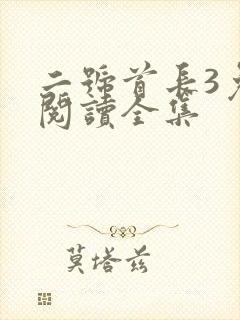 二号首长3免费阅读全集