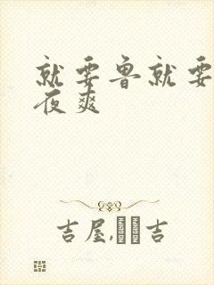 就要鲁就要鲁夜夜爽