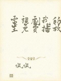 电视剧我的后半生免费播放封面