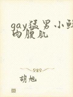 gay猛男小鲜肉腹肌