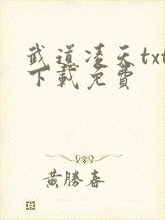 武道凌天txt下载免费