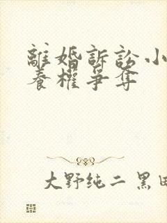 离婚诉讼小孩抚养权争夺