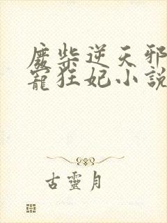 废柴逆天邪王霸宠狂妃小说封面