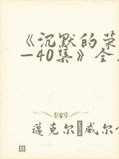 《沉默的荣耀1—40集》全集免费观看