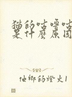 猫的咕噜咕噜声是什么原因