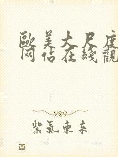 欧美大尺度视频网站在线观看