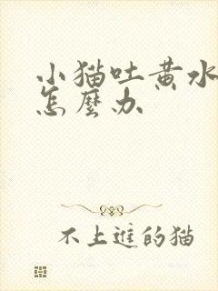 小猫吐黄水拉稀怎么办