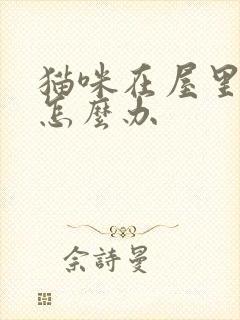 猫咪在屋里乱尿怎么办