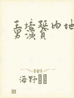 王培延内地短剧男演员