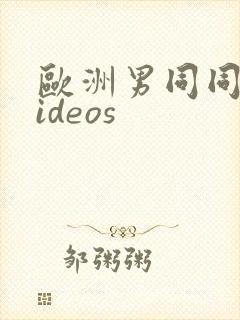 欧洲男同同性videos封面