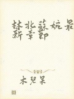 林北苏婉最新更新章节