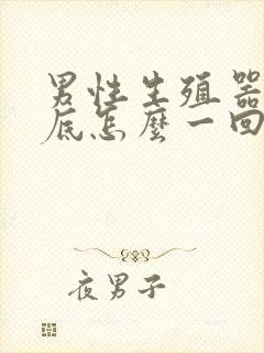 男性生殖器痒到底怎么一回事