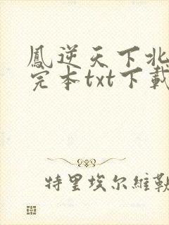 凤逆天下北月篇完本txt下载