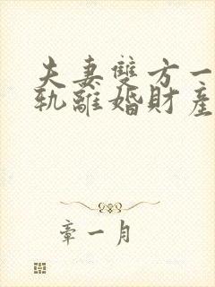 夫妻双方一方出轨离婚财产如何分割