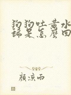 狗狗吐黄水不拉稀是怎么回事