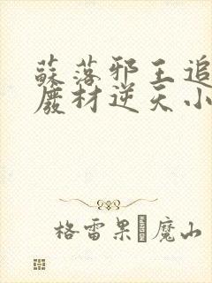 苏落邪王追妻:废材逆天小姐字数封面