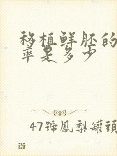 移植鲜胚的成功率是多少