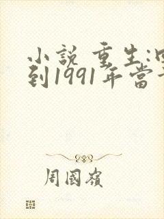 小说 重生:回到1991年当首富