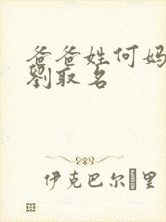 爸爸姓何妈妈姓刘取名