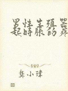 男性生殖器官勃起时胀的疼封面