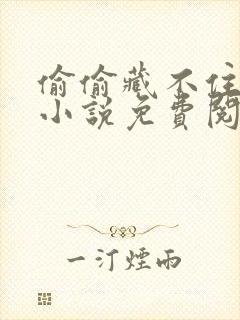 偷偷藏不住在线小说免费阅读