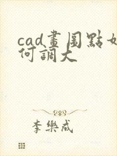 cad画图点如何调大