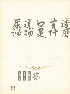 尿道口有透明分泌物是什么原因引起的