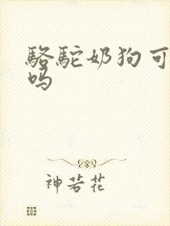 骆驼奶狗可以喝吗