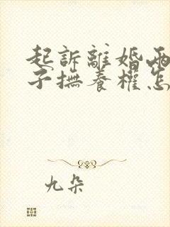 起诉离婚两个孩子抚养权怎么判