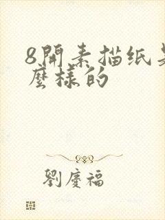 8开素描纸是什么样的封面