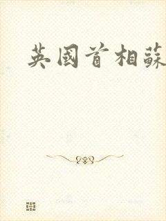 英国首相苏纳克